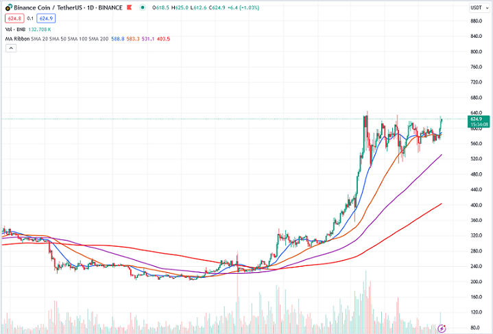 BNB daily price chart 05.21.2024