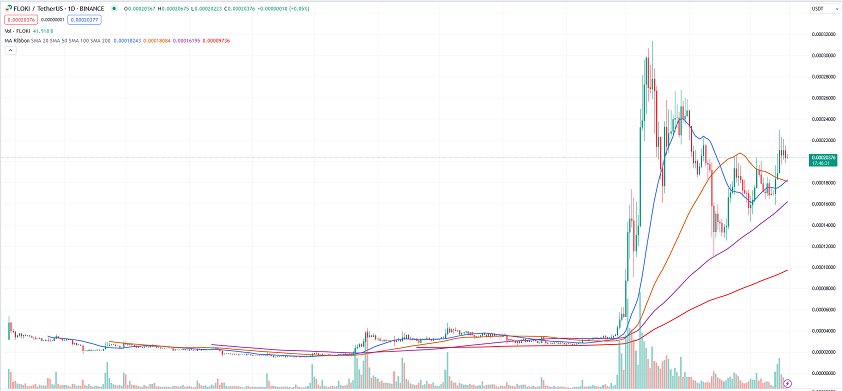 Floki daily pice chart 05.19.2024