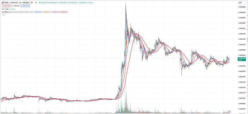 Shiba inu hourly pice chart 05.17.2024