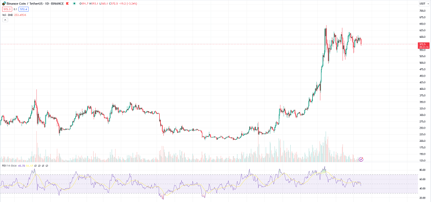 bnb price chart daily