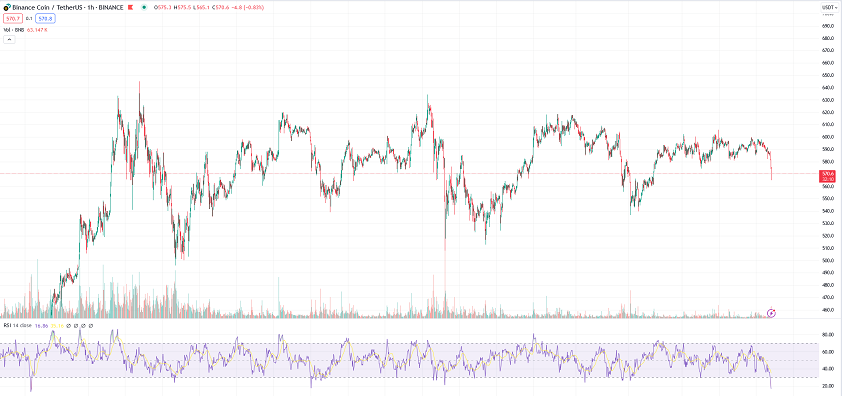 bnb price chart hourly