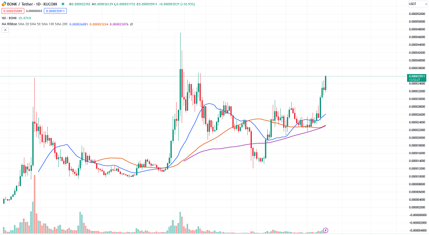 bonk daily price chart 05.23.2024