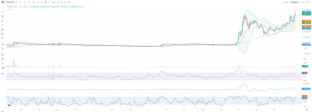 FLOKI daily price chart 06.06.2024