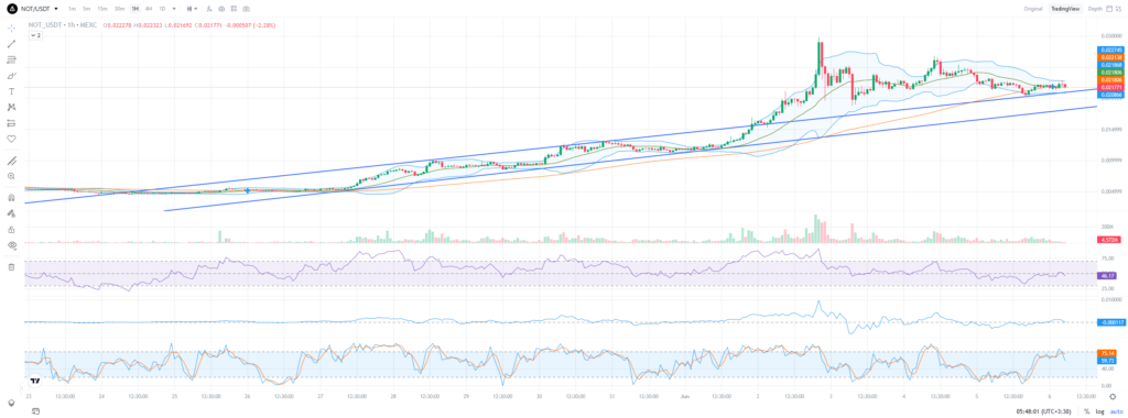 notcoin hourly price chart with andicators