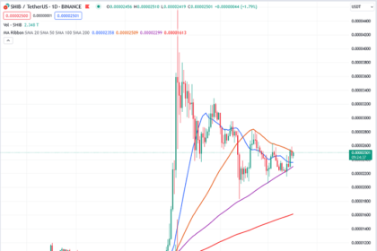 Shiba inu Price Predictions and Analysis