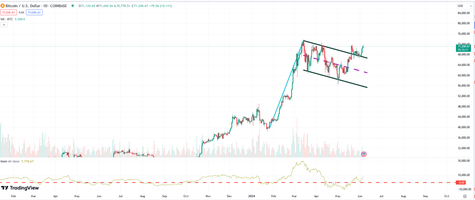 Bitcoin Technical Analysis and Market Trends: June 2024