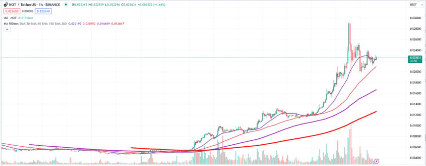 Notcoin Price Surges: A Comprehensive Analysis of Its Meteoric Rise